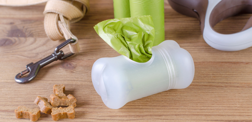 Les avantages des probiotiques pour les chiens : un coup de pouce naturel pour la santé intestinale de votre animal