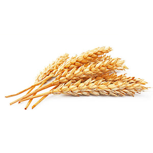 Whole Wheat