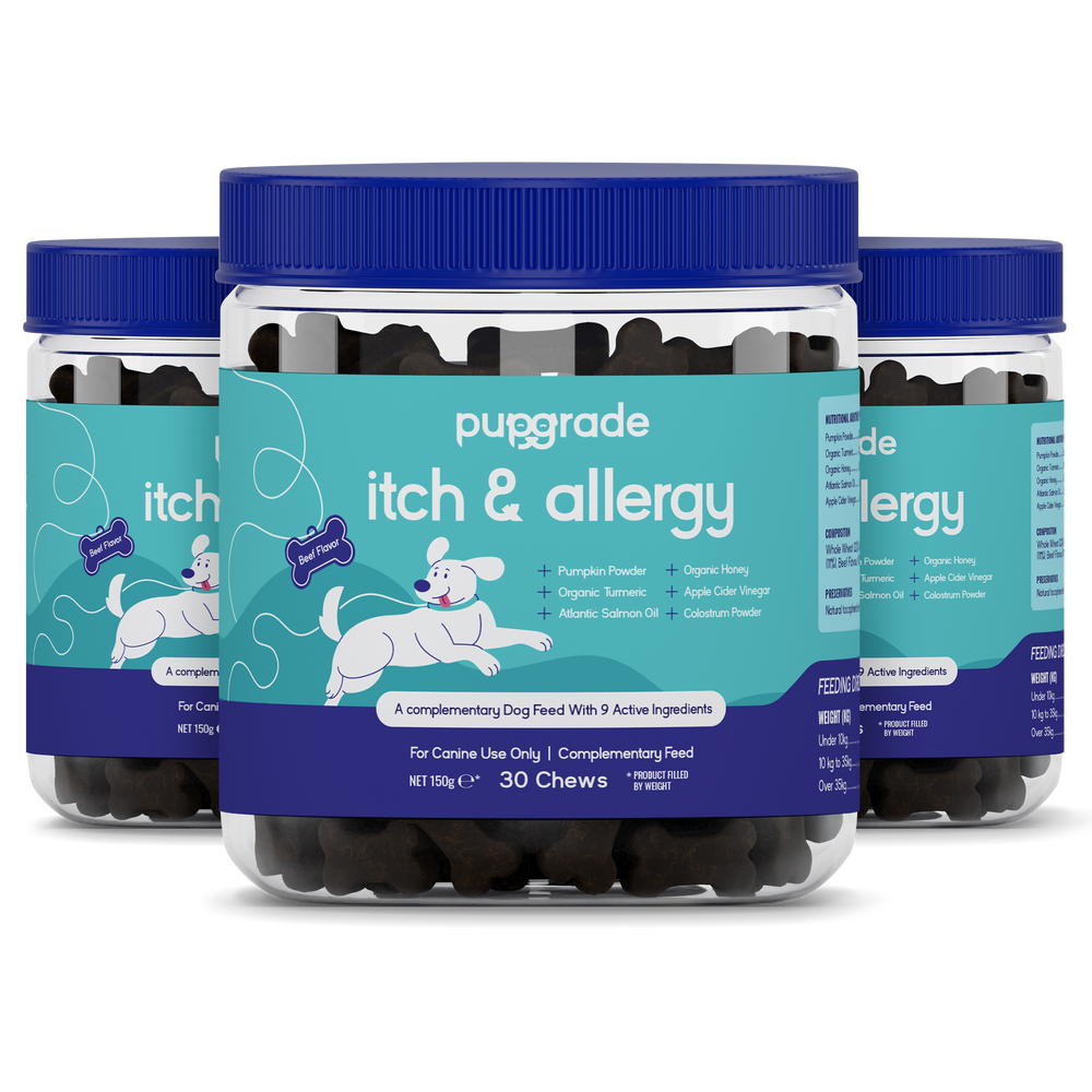 itch & allergy jars
