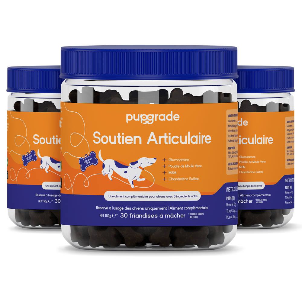Joint Support Jars