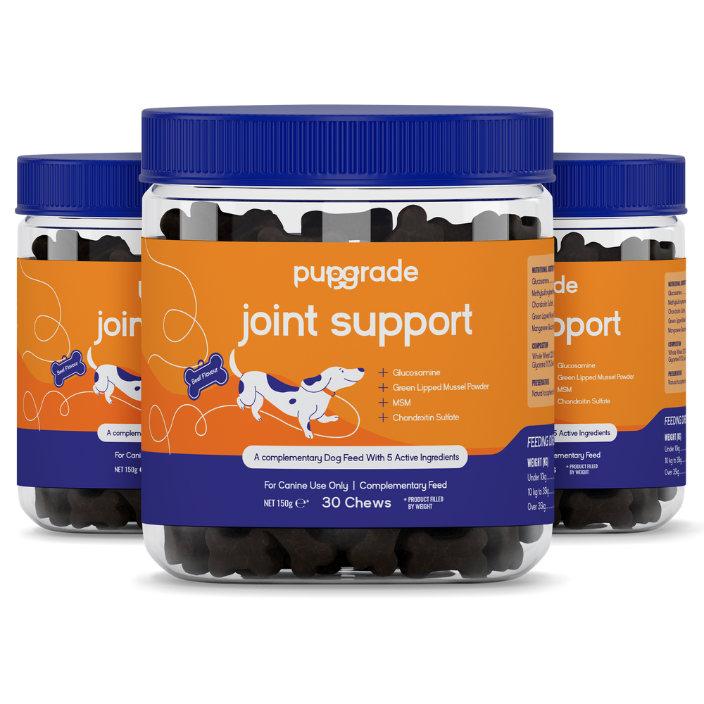 Joint Support Jars